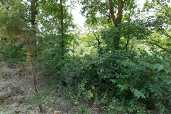 property photo for Springlake Plat 4 Tract 116, 0.2 acres for sale in Miller County, Missouri