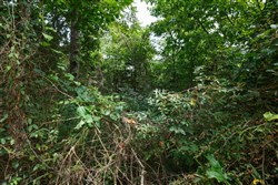 property photo for Springlake Plat 6 Tract 57, 0.19 acres for sale in Miller County, Missouri