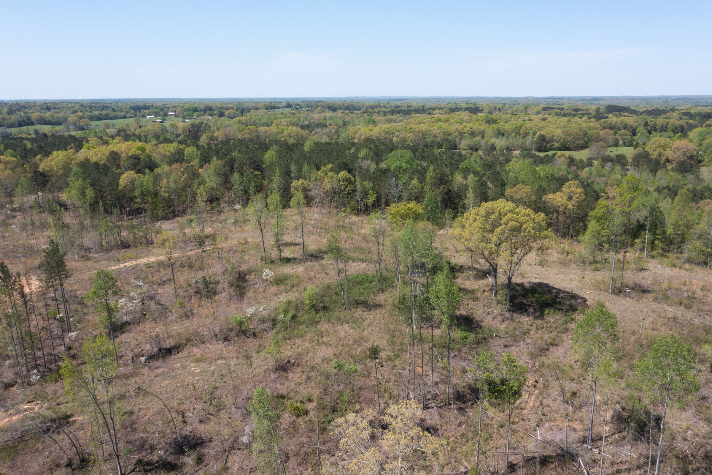 Tract 12 at Twin Rivers in Henderson County, Tennessee