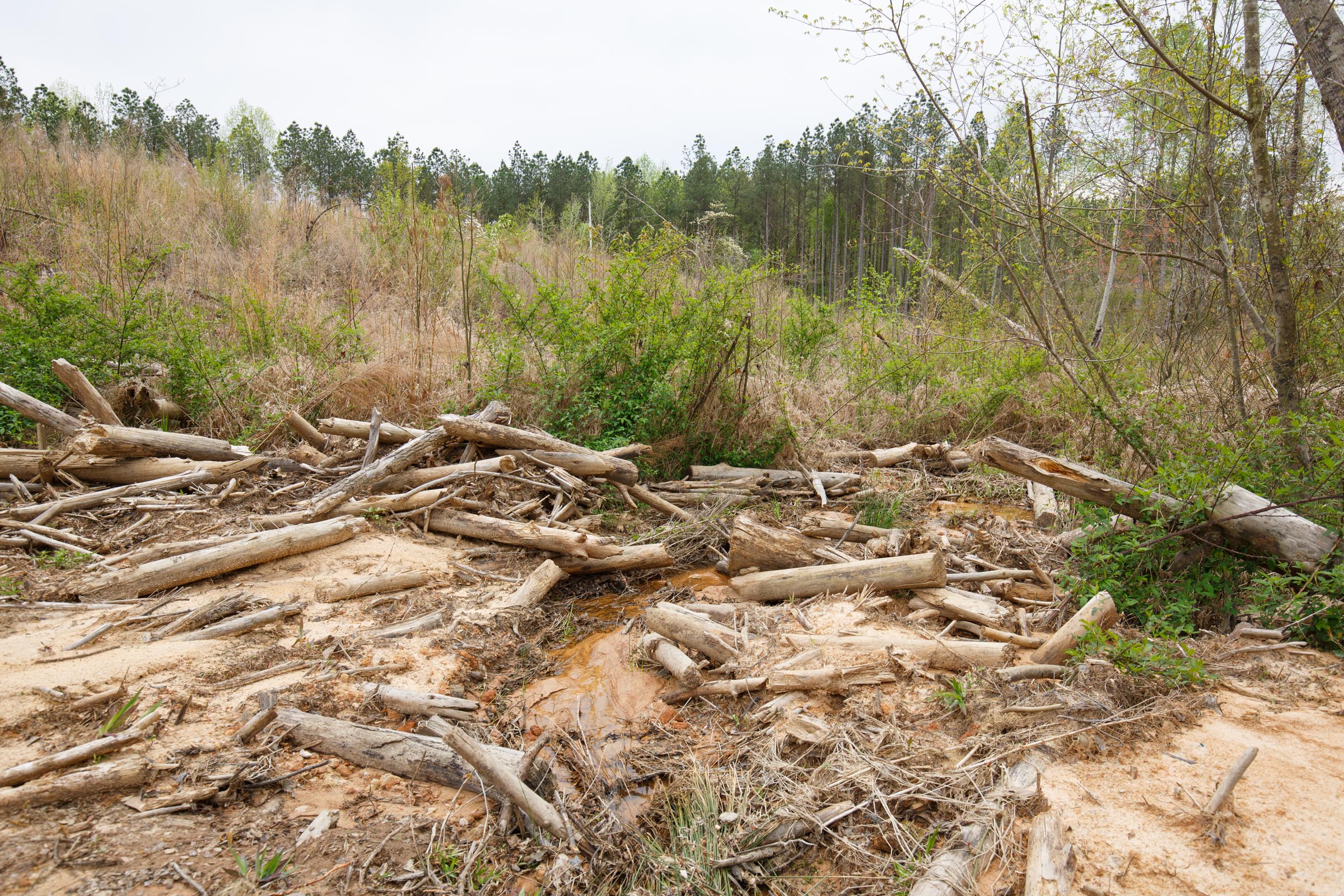 Tract 16 at Twin Rivers in Henderson County, Tennessee