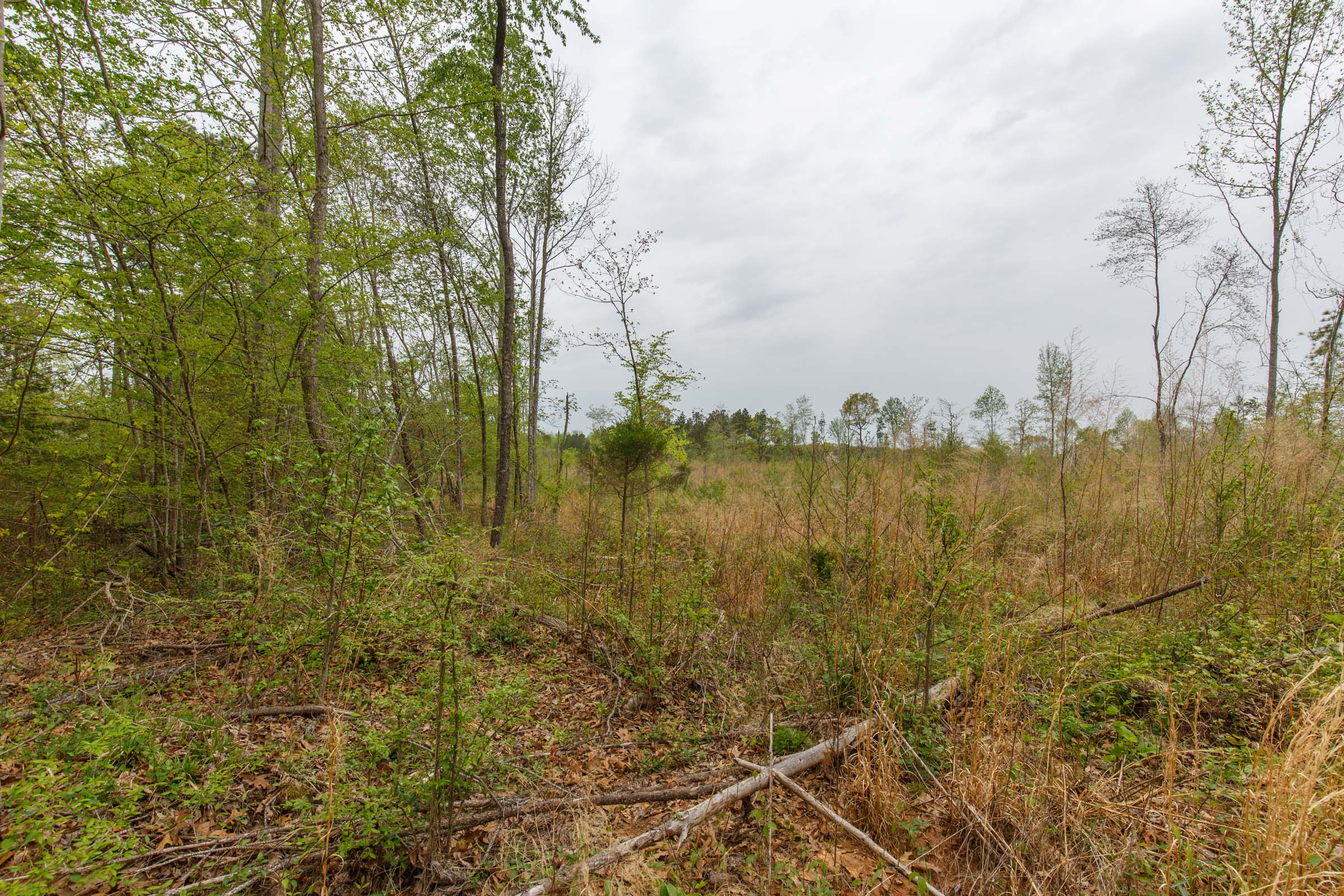Tract 20 at Twin Rivers in Henderson County, Tennessee