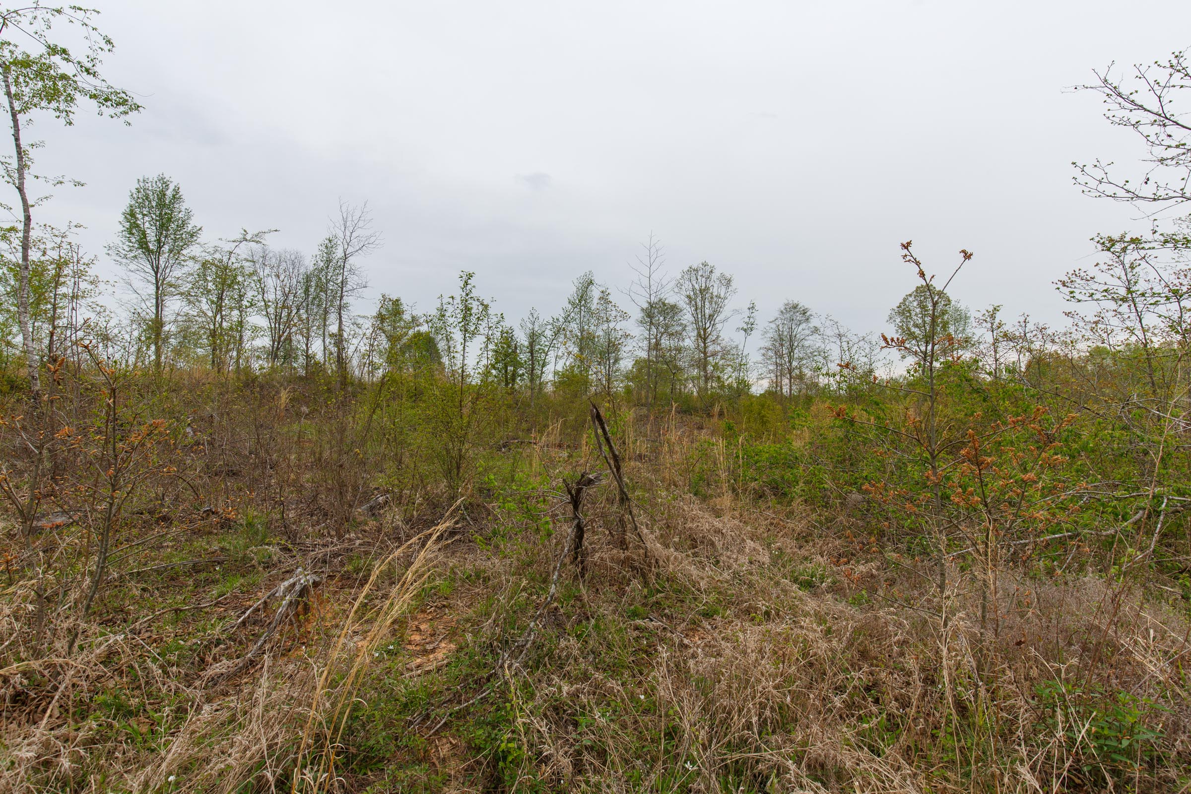 Tract 21 at Twin Rivers in Henderson County, Tennessee