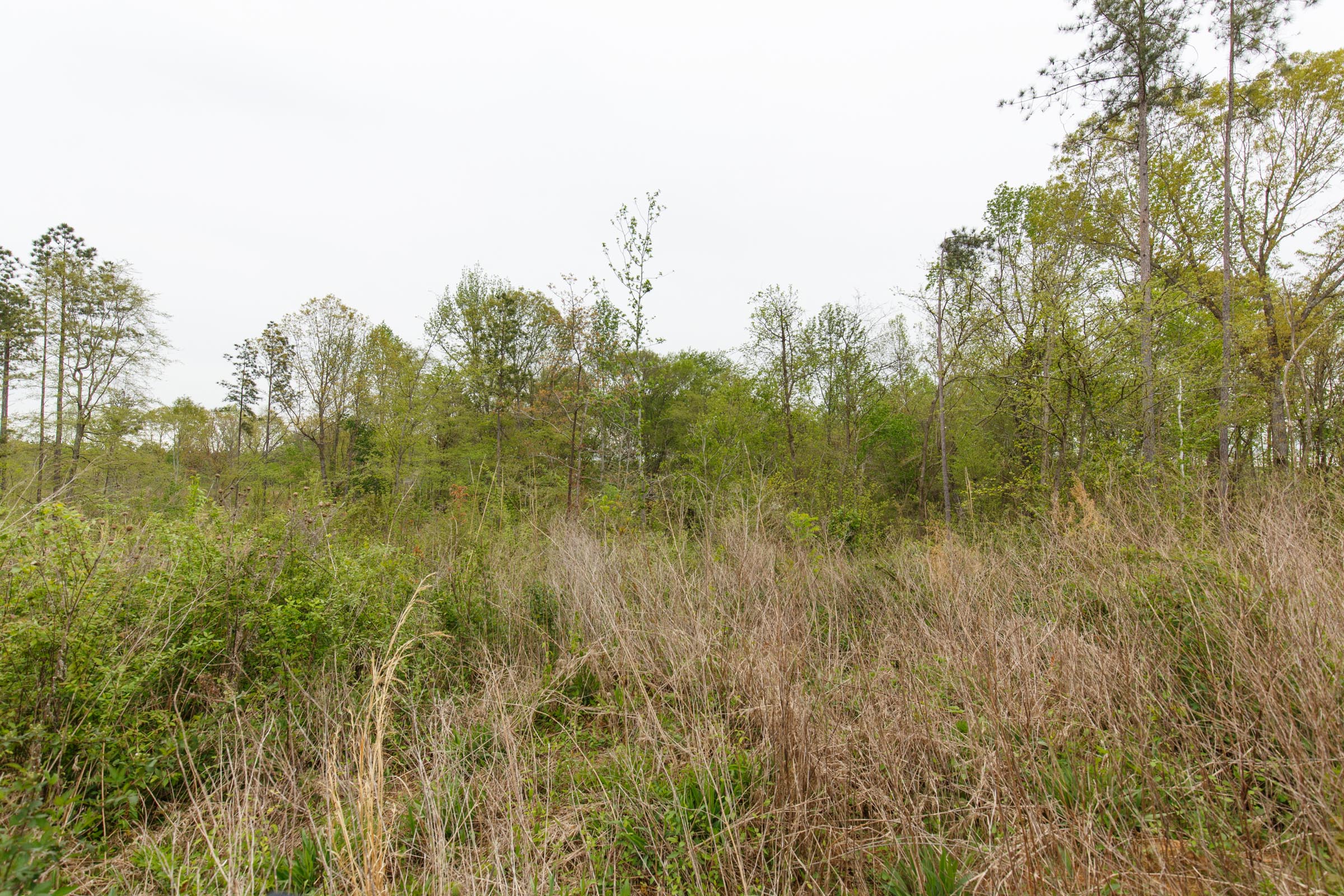 Tract 26 at Twin Rivers in Henderson County, Tennessee