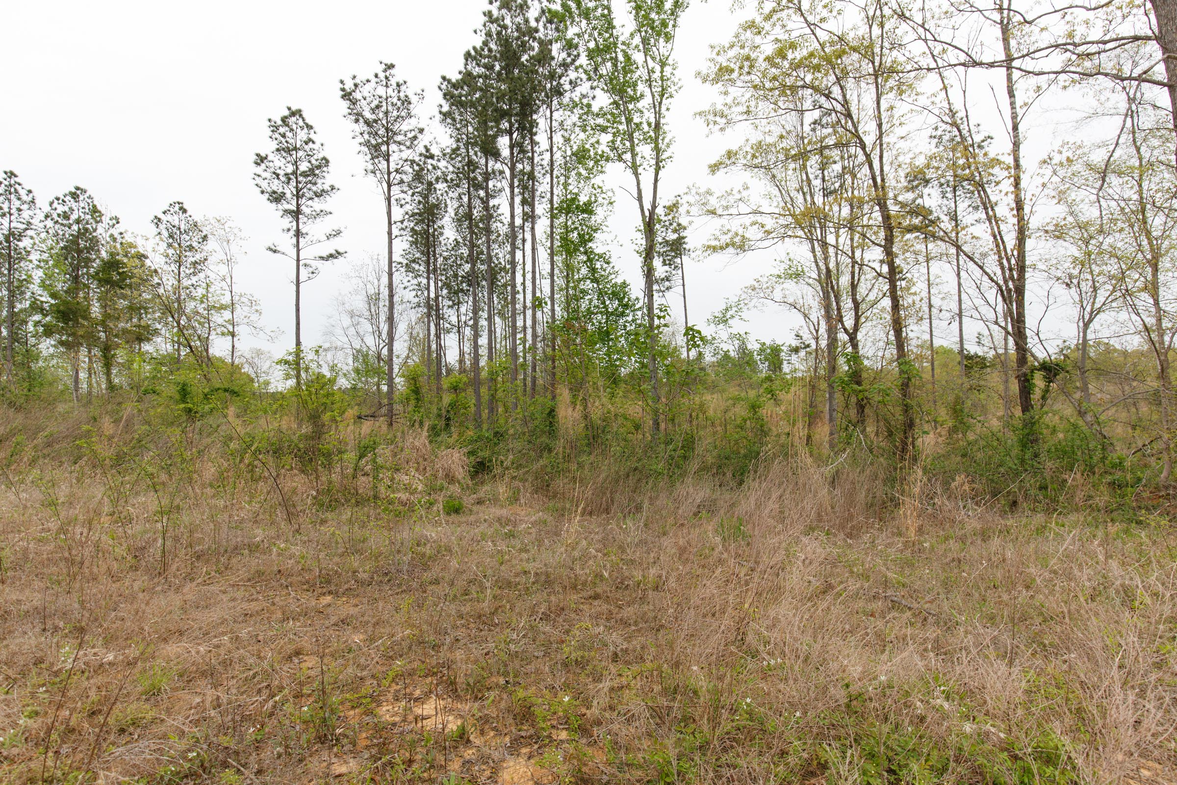 Tract 27 at Twin Rivers in Henderson County, Tennessee