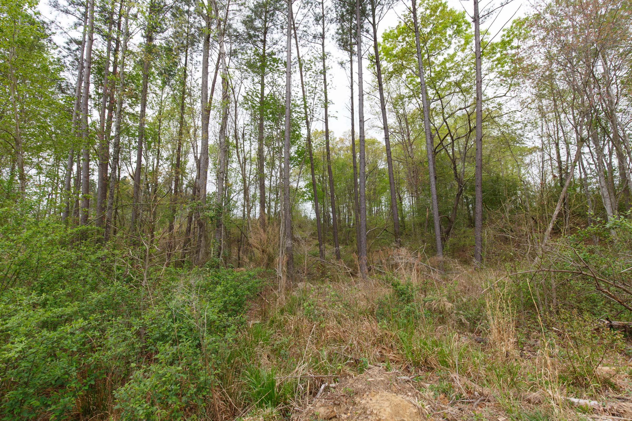 Tract 34 at Twin Rivers in Henderson County, Tennessee