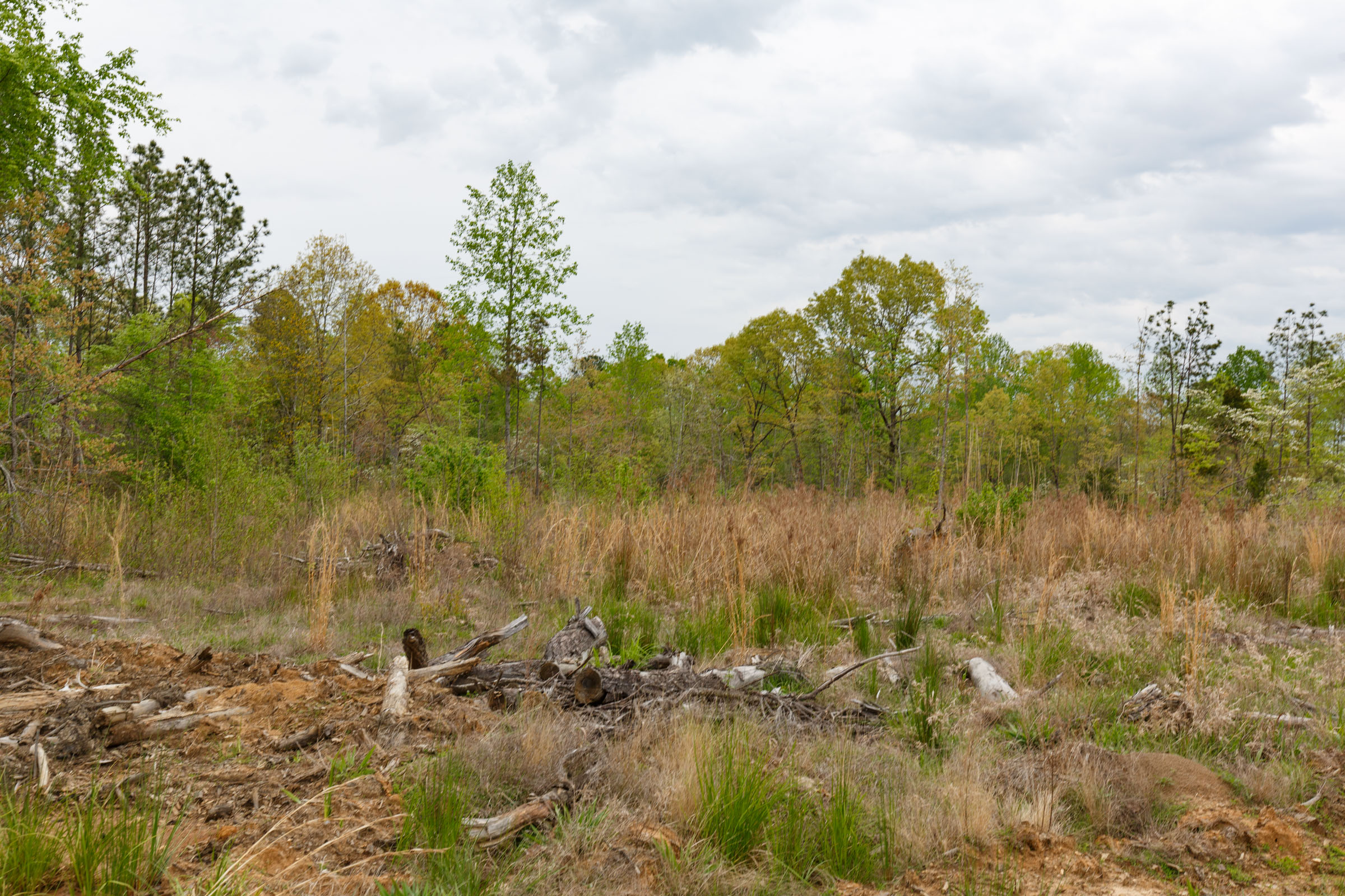 Tract 36 at Twin Rivers in Henderson County, Tennessee