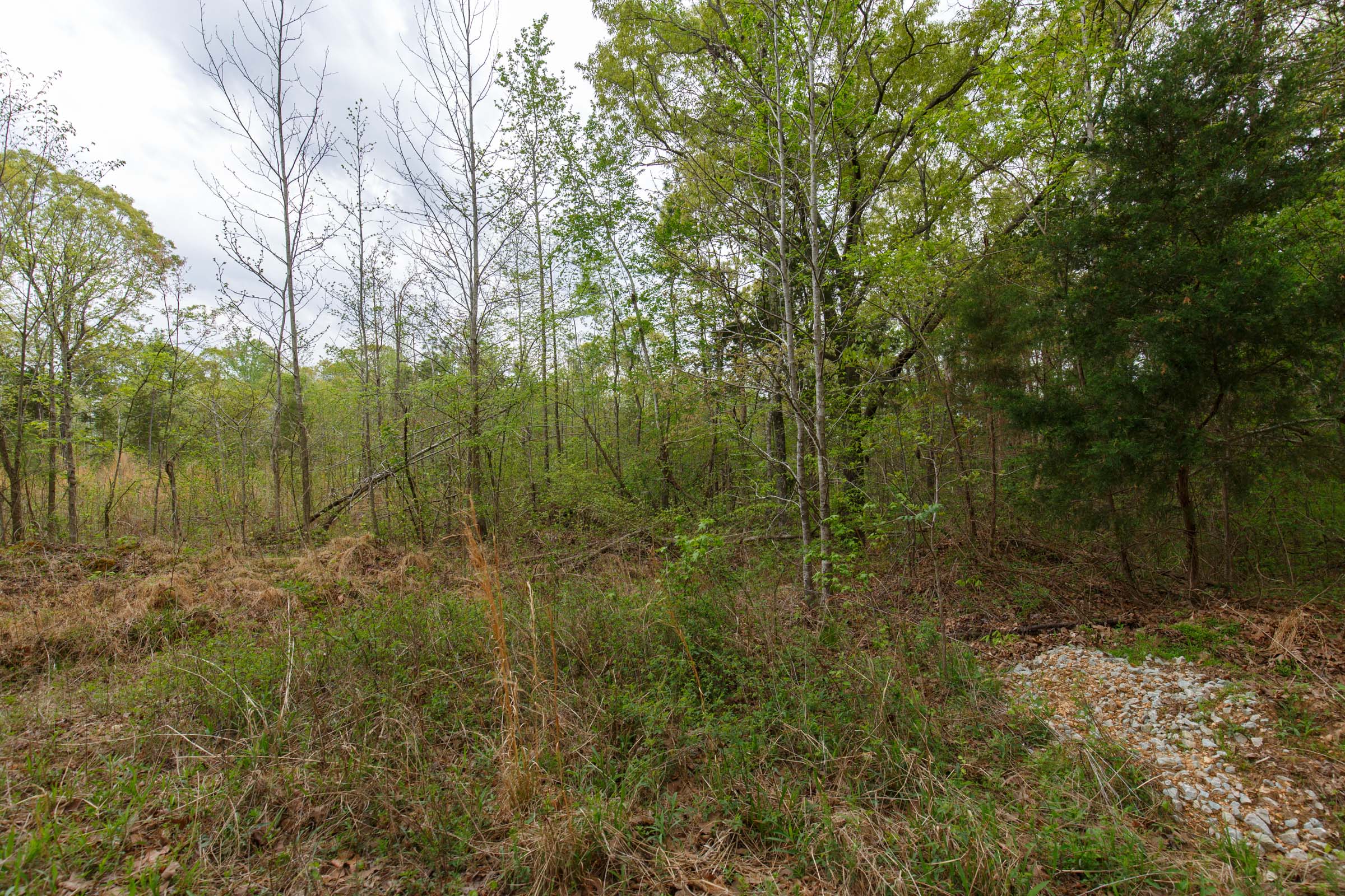 Tract 5 at Twin Rivers in Henderson County, Tennessee