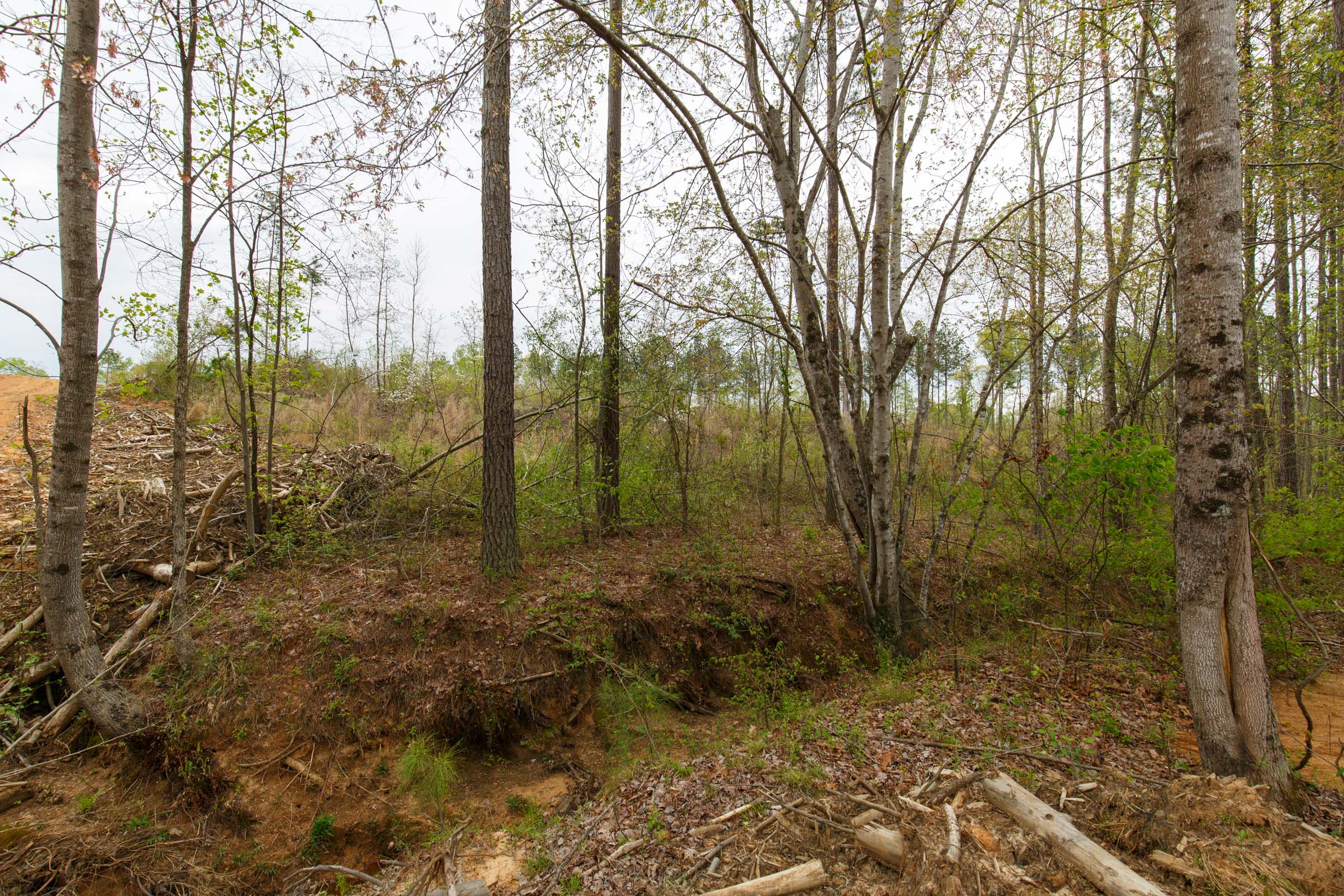Tract 9 at Twin Rivers in Henderson County, Tennessee